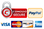 Secure Website Payments